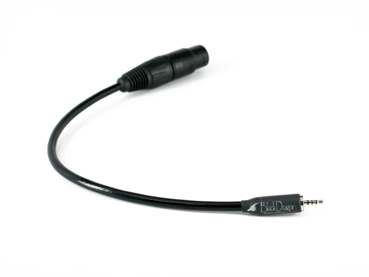 Black Dragon Headphone Adapter Cable - Image 4