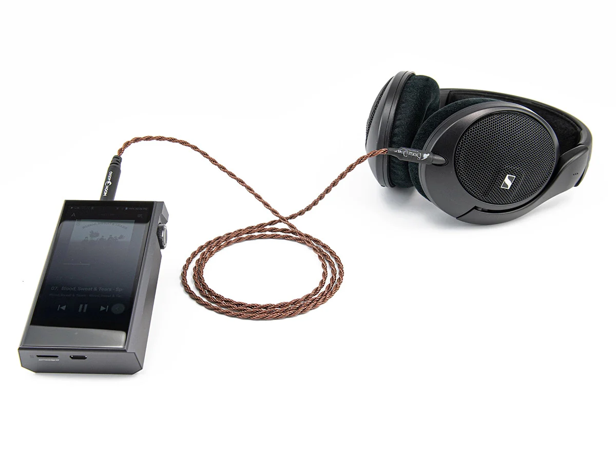 Bronze Dragon Portable Headphone Cable - Image 2