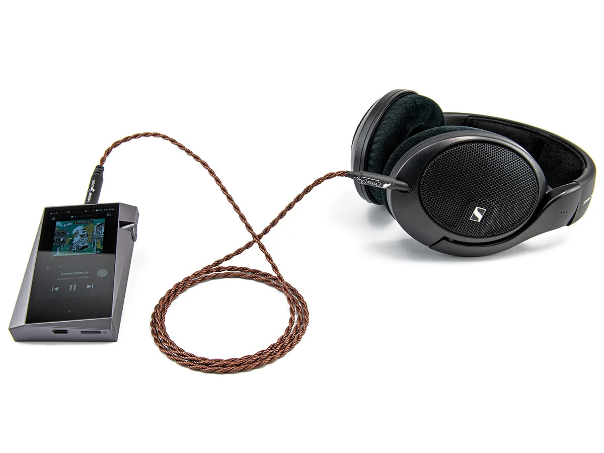 Bronze Dragon Portable Headphone Cable - Image 7