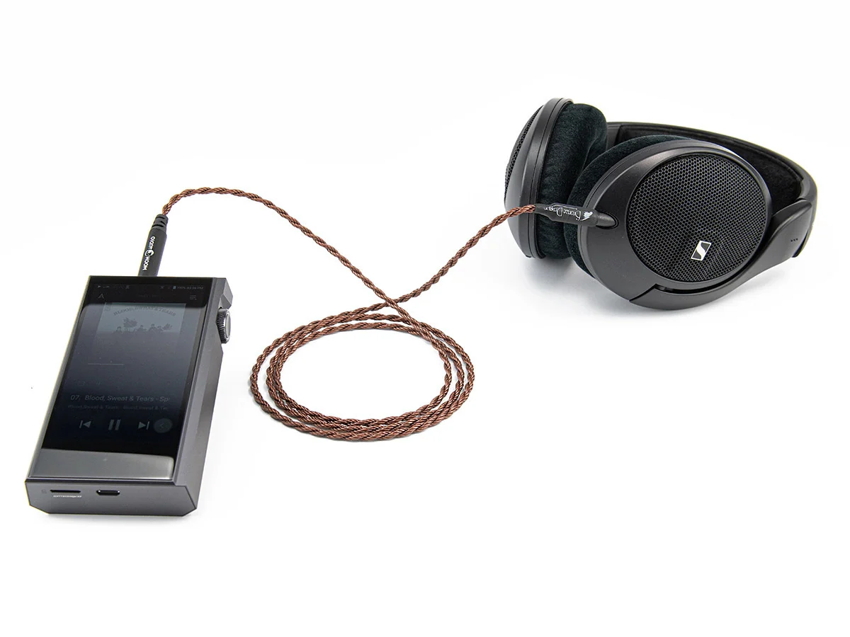 Bronze Dragon Portable Headphone Cable for Focal Bathys - Image 2