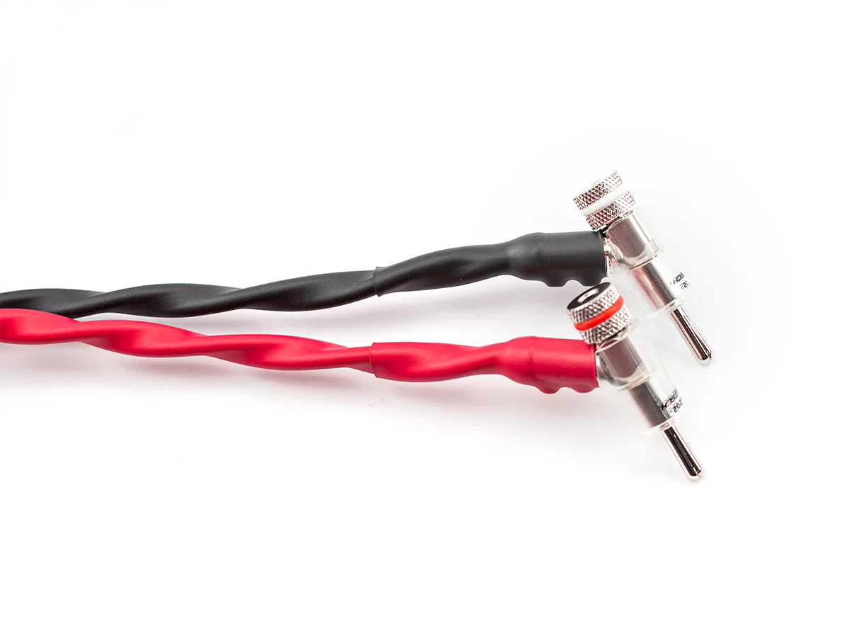 Bronze Dragon Speaker Cable - Image 3