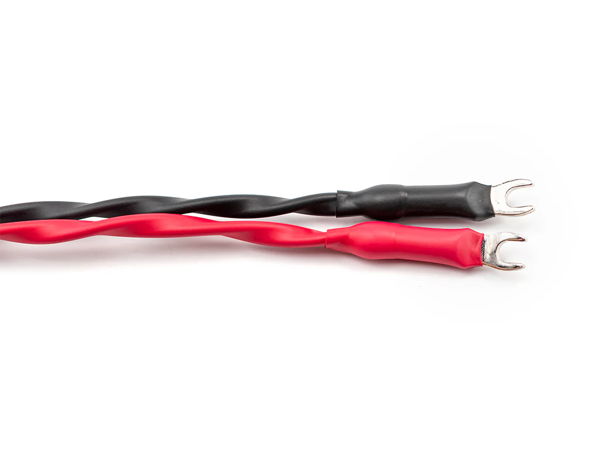 Bronze Dragon Speaker Cable - Image 7