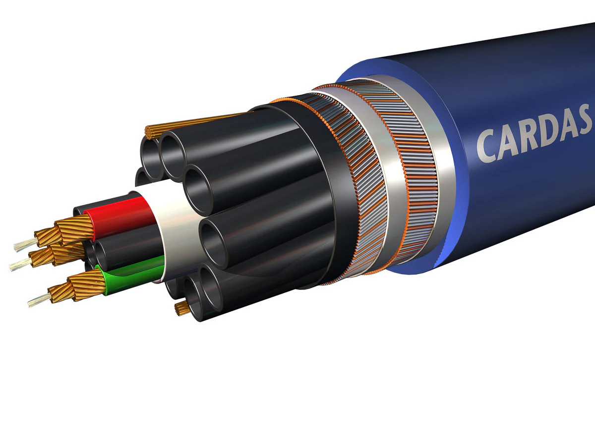 Clear Interconnect Cable - Image 6