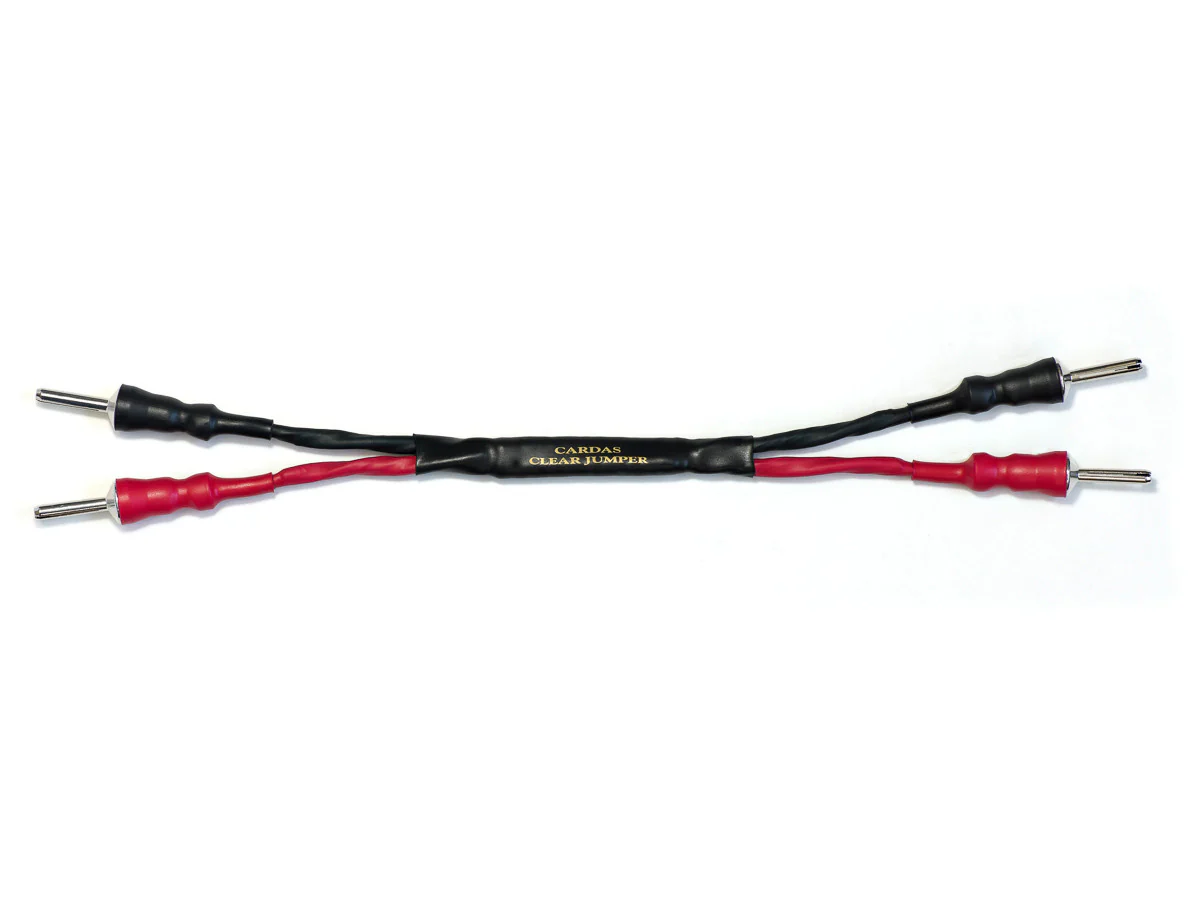 Clear Speaker Jumper - Image 4