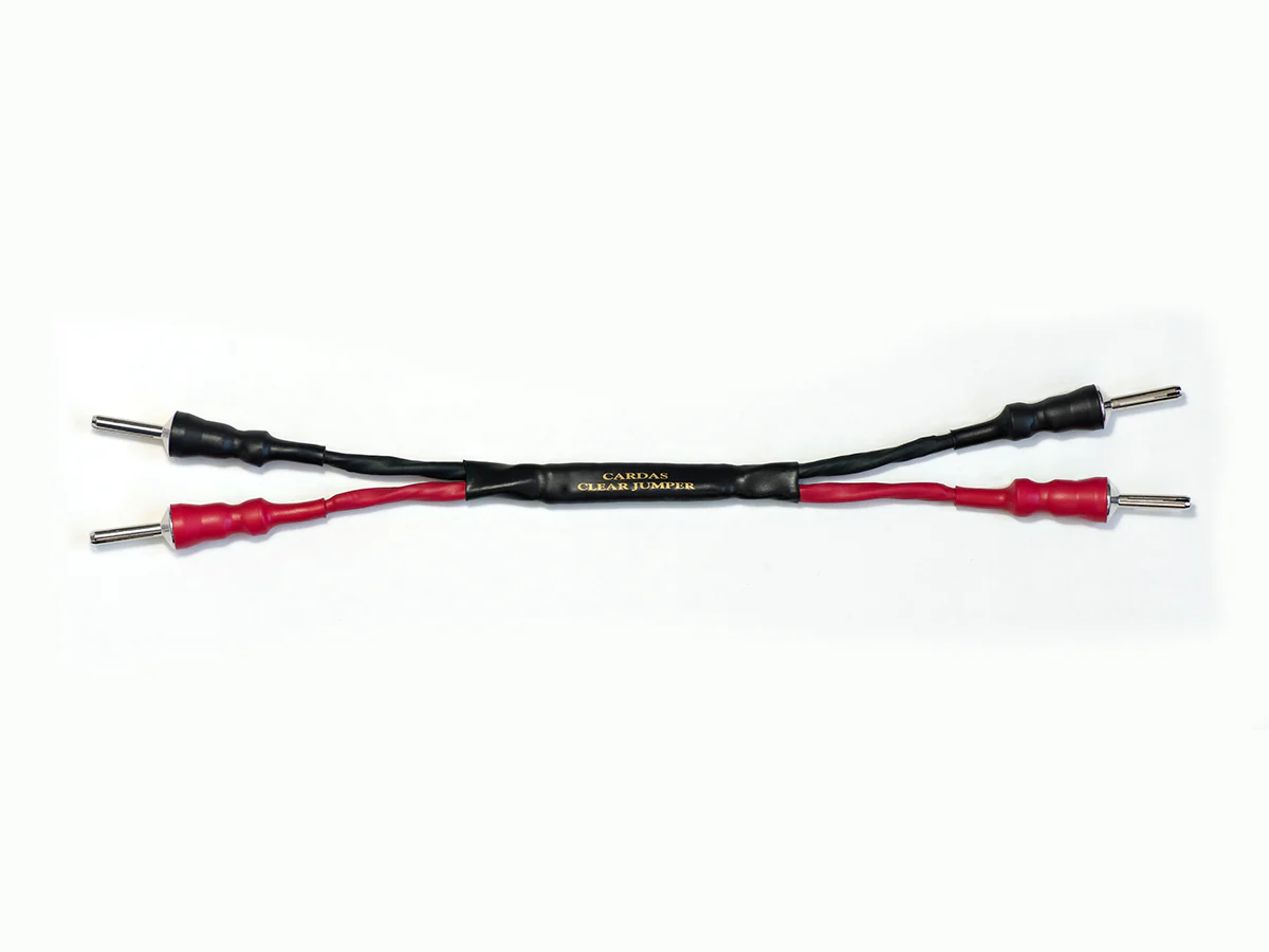 Clear Speaker Jumper - Image 7