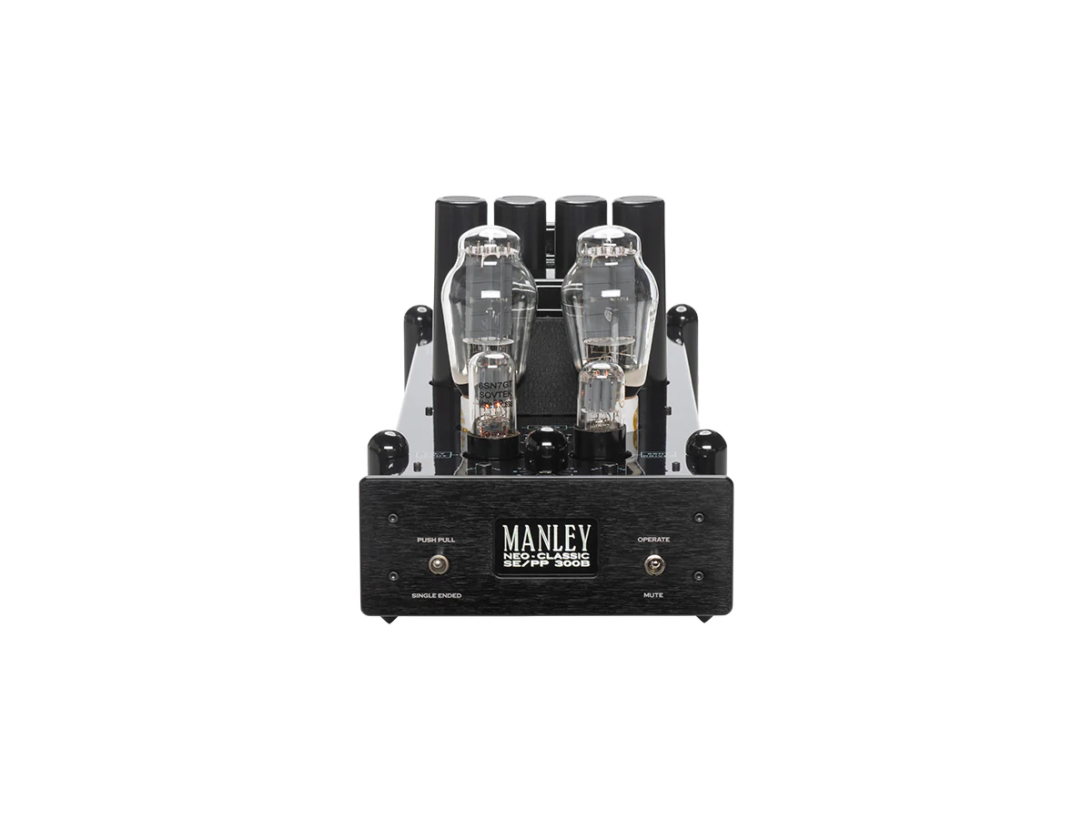 Neo-Classic SE/PP 300B Monoblock Amp (Pair)