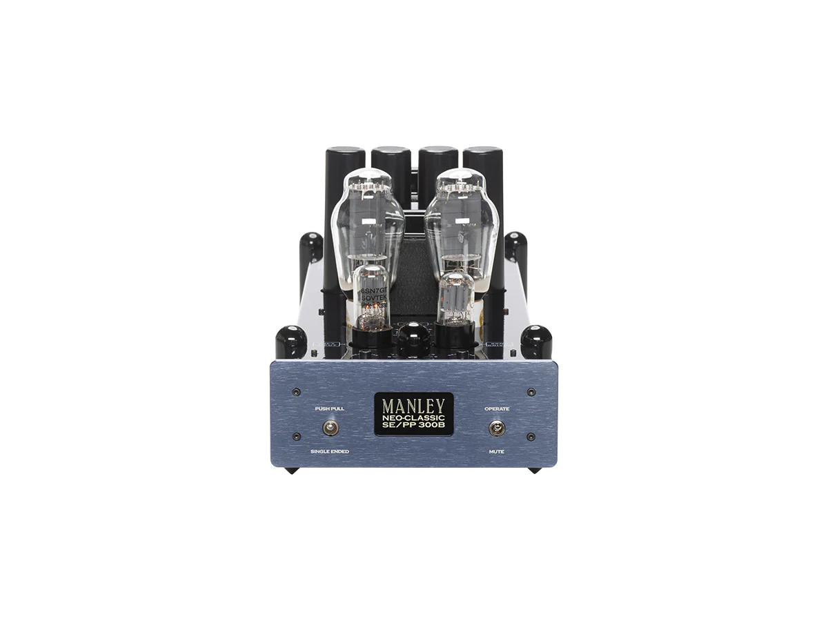 Neo-Classic SE/PP 300B Monoblock Amp (Pair) - Image 2