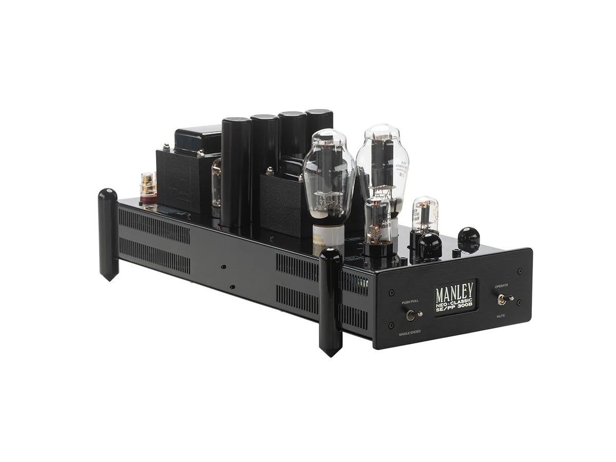 Neo-Classic SE/PP 300B Monoblock Amp (Pair) - Image 5